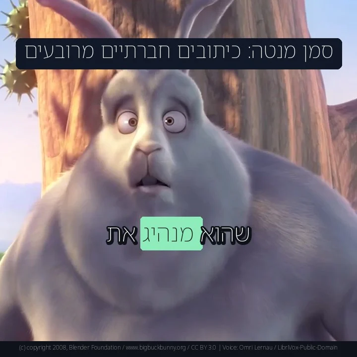 סמן מנטה: כיתובים חברתיים מרובעים