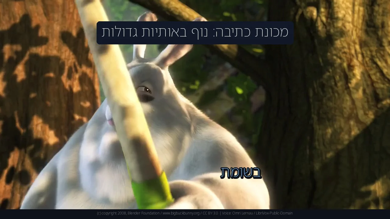 מכונת כתיבה: נוף באותיות גדולות