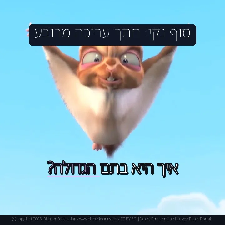 סוף נקי: חתך עריכה מרובע