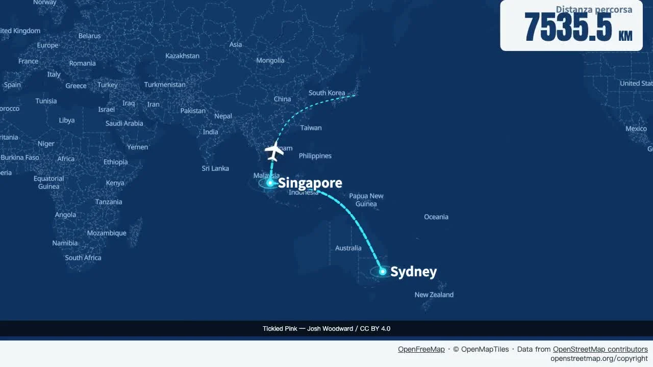 Asia Pacifico: progetto di rete di volo