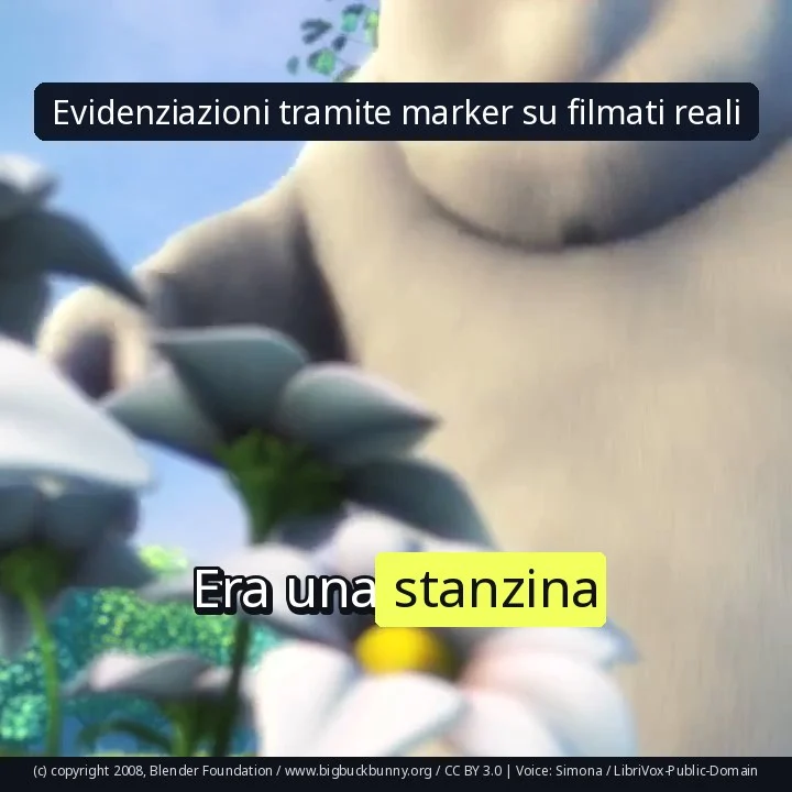 Evidenziazioni tramite marker su filmati reali