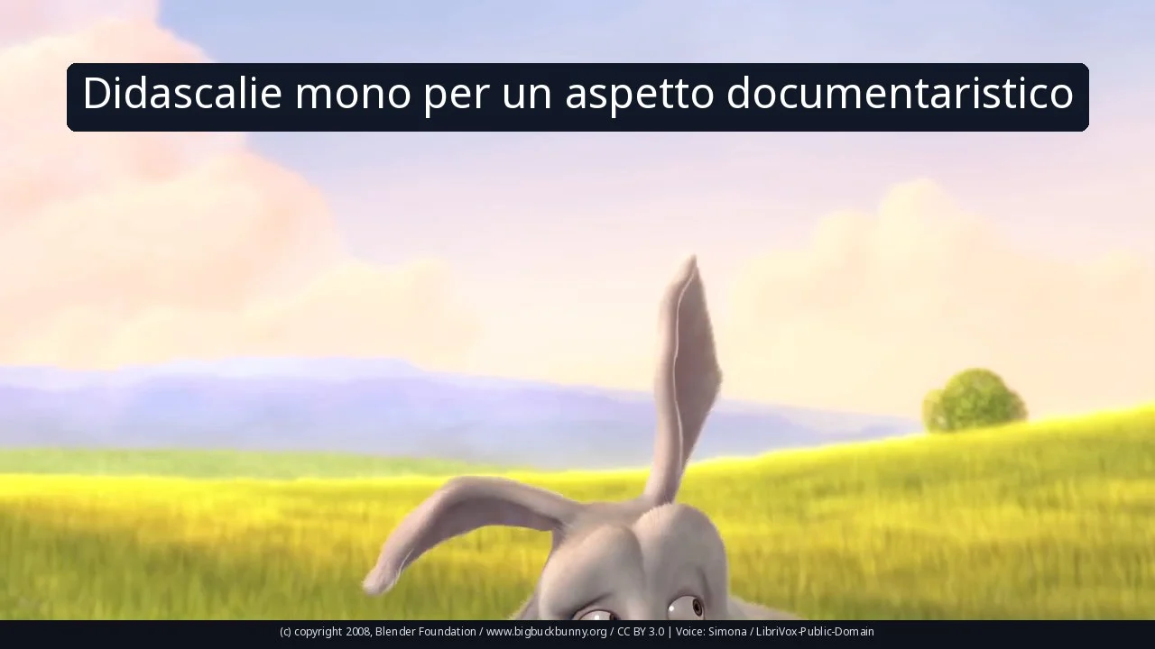 Didascalie mono per un aspetto documentaristico