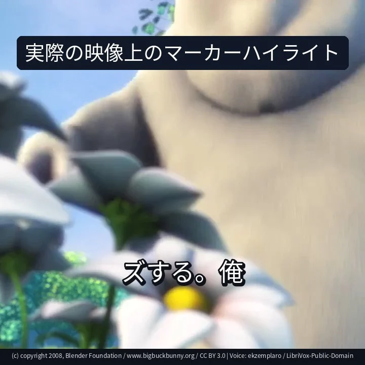 実際の映像上のマーカーハイライト