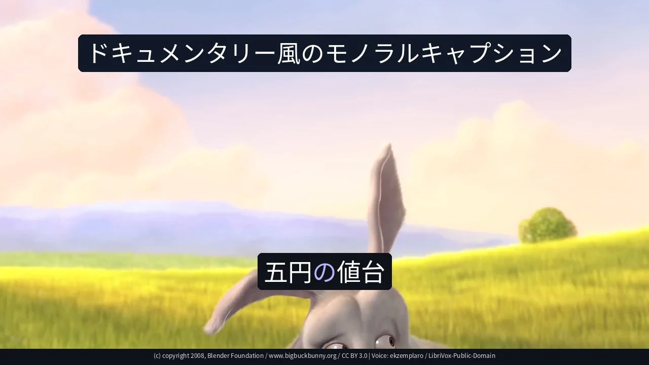 ドキュメンタリー風のモノラルキャプション