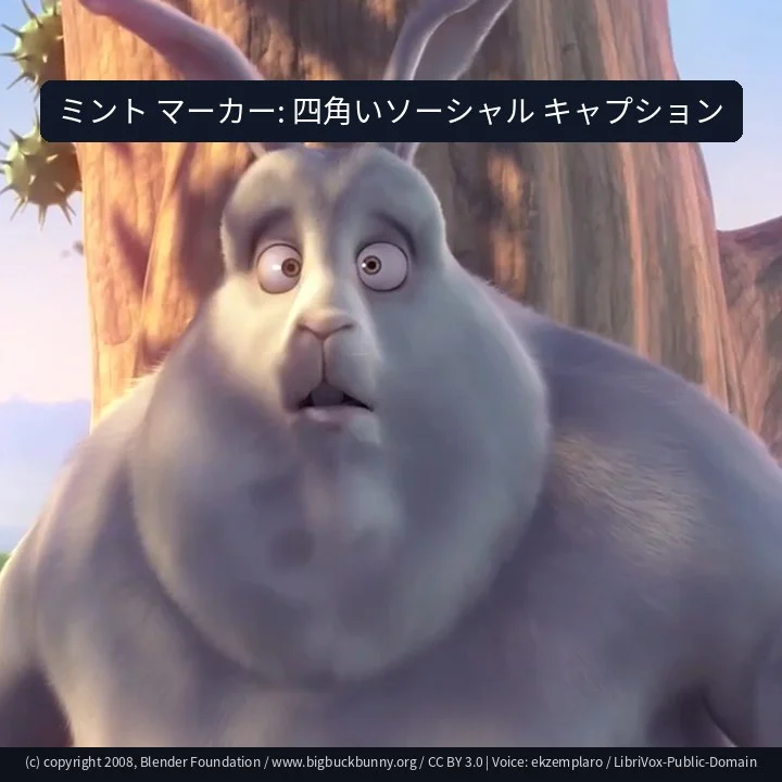ミント マーカー: 四角いソーシャル キャプション