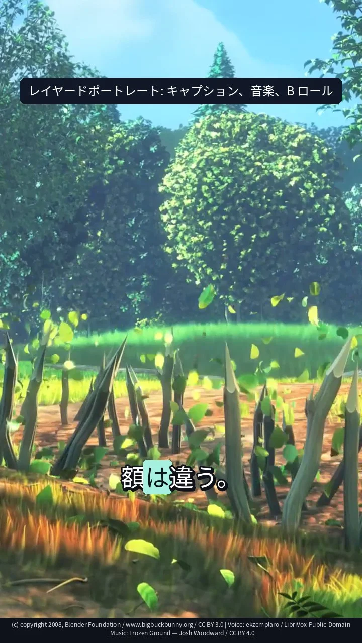 レイヤードポートレート: キャプション、音楽、B ロール
