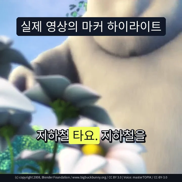 실제 영상의 마커 하이라이트