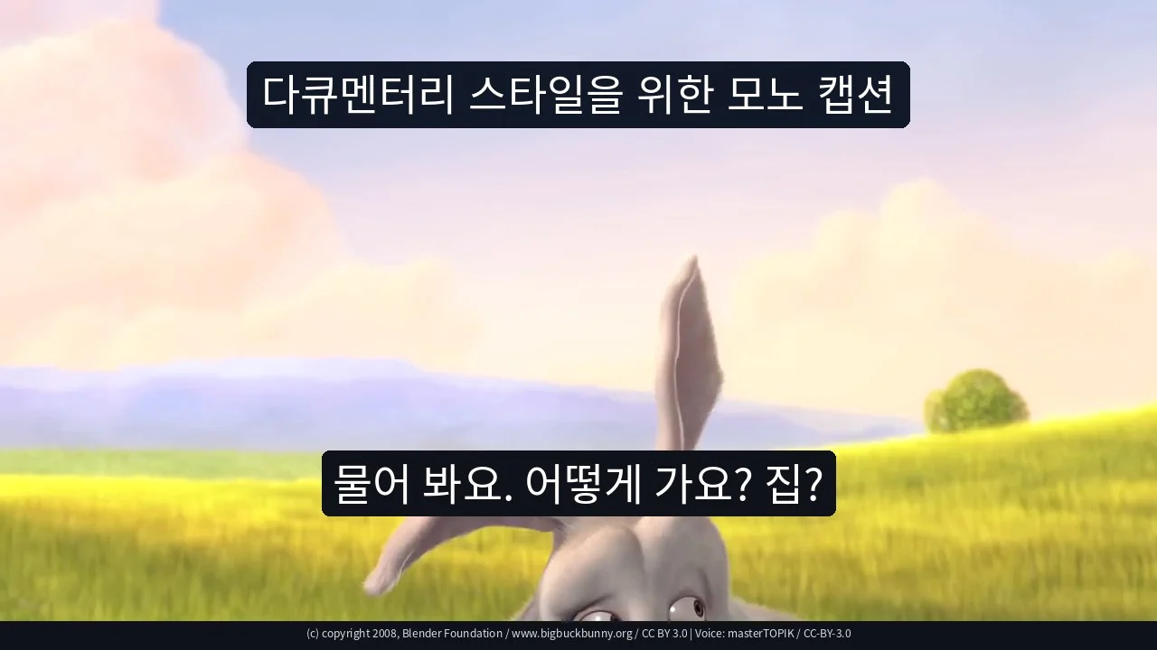 다큐멘터리 스타일을 위한 모노 캡션