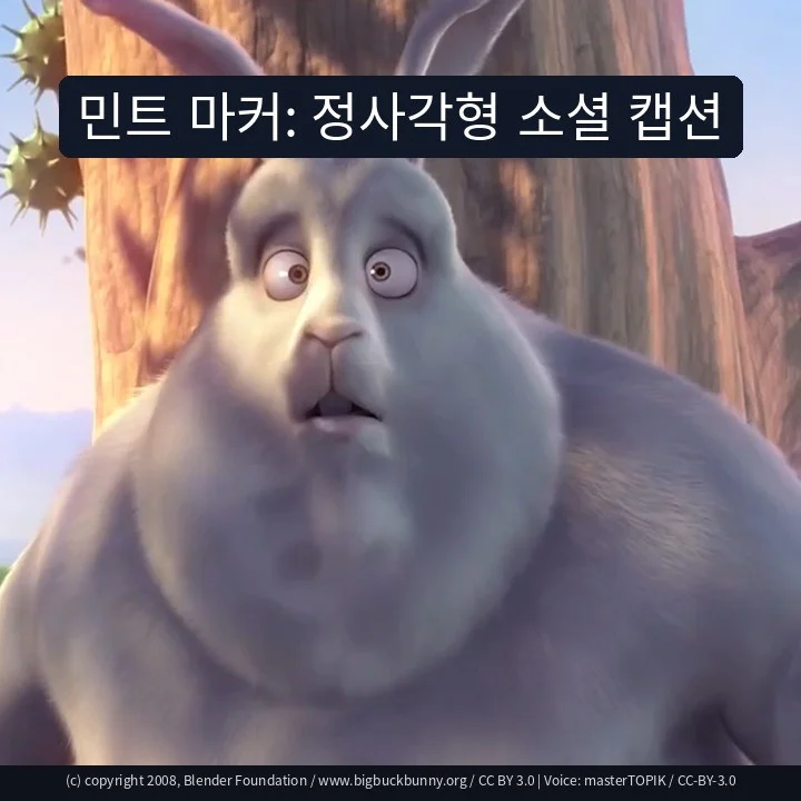 민트 마커: 정사각형 소셜 캡션