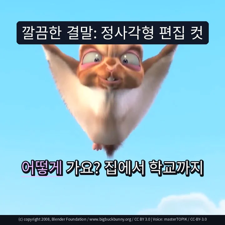 깔끔한 결말: 정사각형 편집 컷