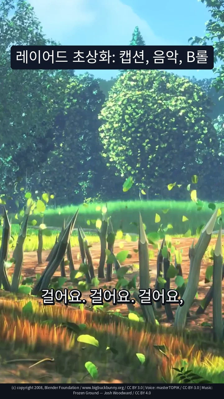 레이어드 초상화: 캡션, 음악, B롤