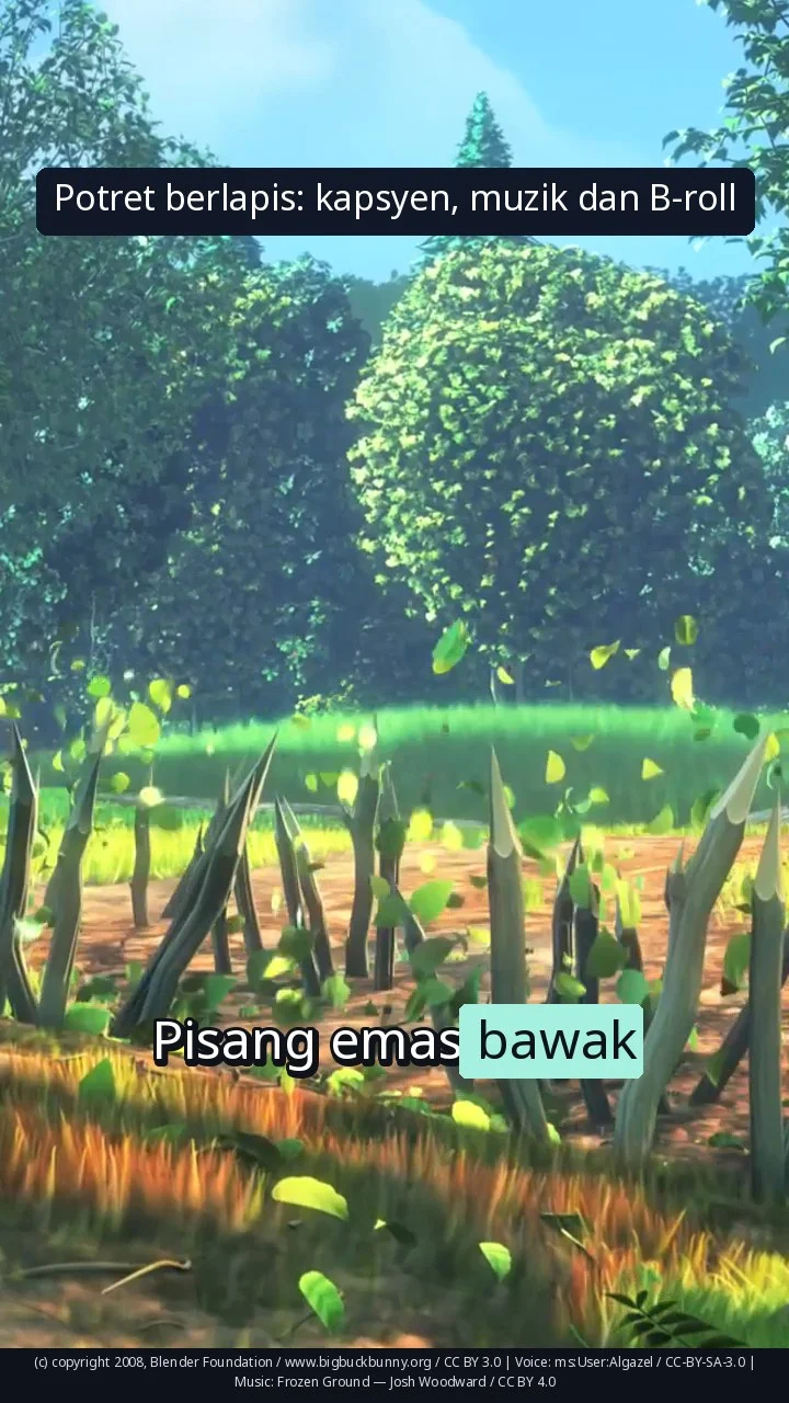Potret berlapis: kapsyen, muzik dan B-roll