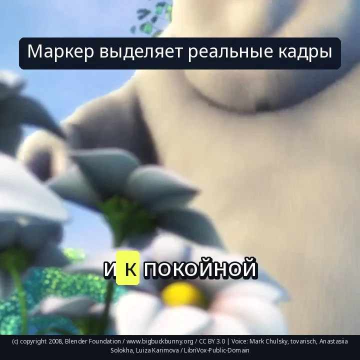 Маркер выделяет реальные кадры