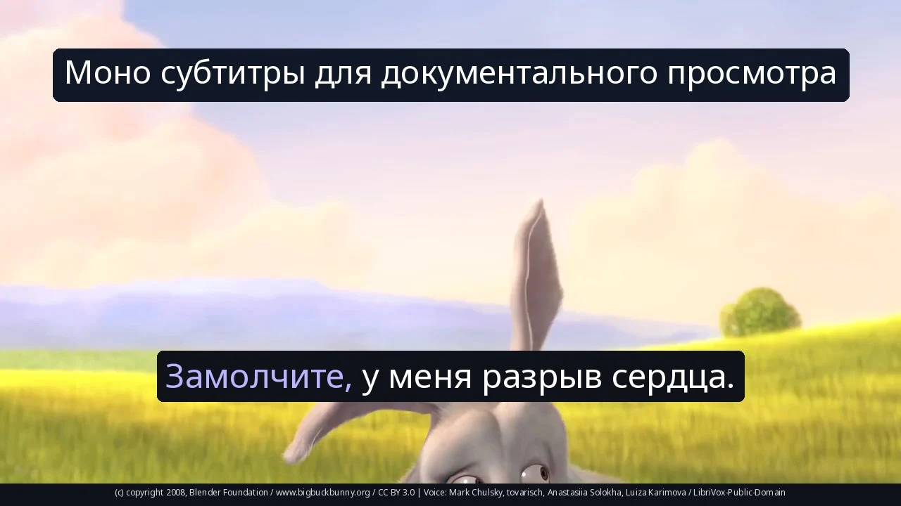 Моно субтитры для документального просмотра