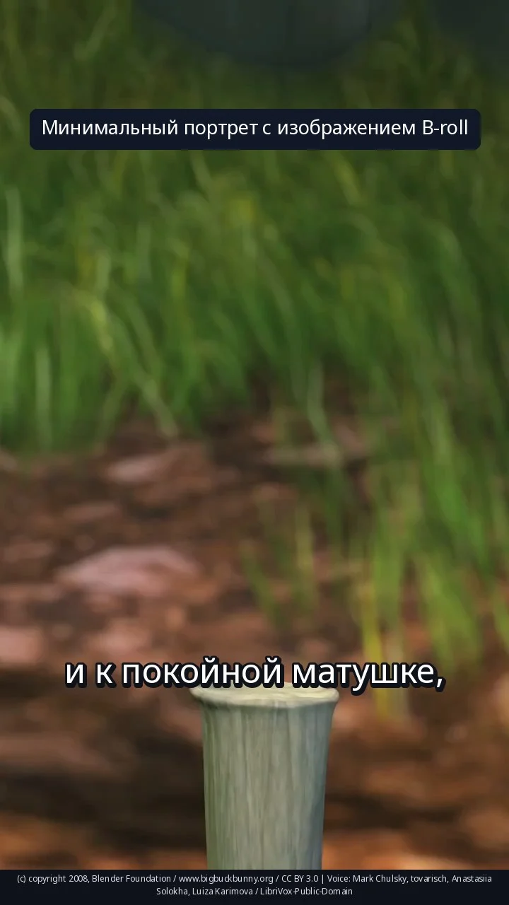 Минимальный портрет с изображением B-roll