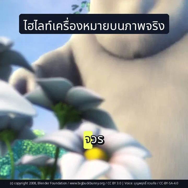 ไฮไลท์เครื่องหมายบนภาพจริง
