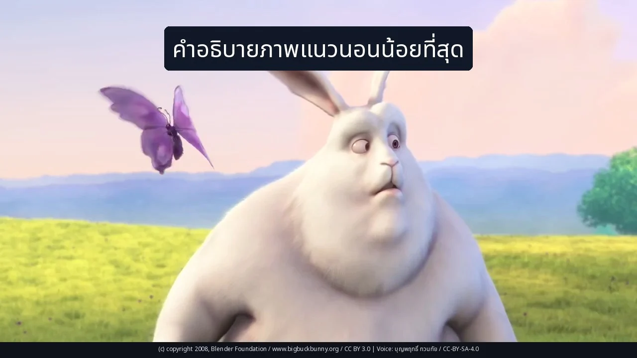 คำอธิบายภาพแนวนอนน้อยที่สุด