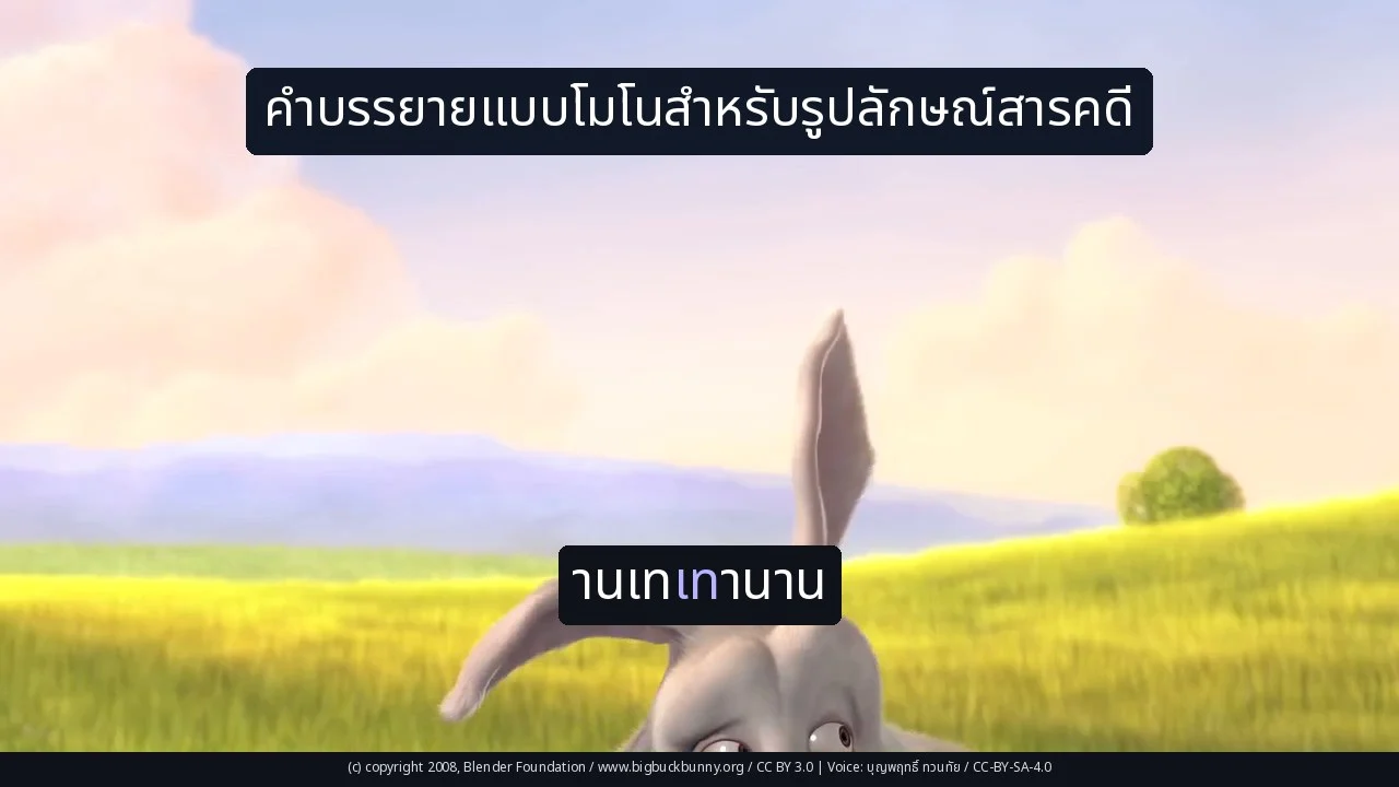 คำบรรยายแบบโมโนสำหรับรูปลักษณ์สารคดี