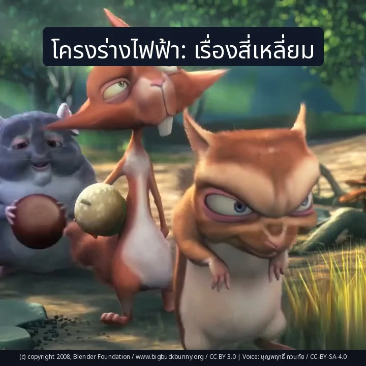 โครงร่างไฟฟ้า: เรื่องสี่เหลี่ยม