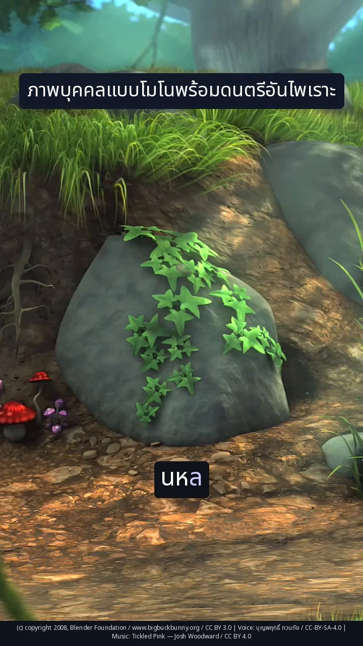 ภาพบุคคลแบบโมโนพร้อมดนตรีอันไพเราะ