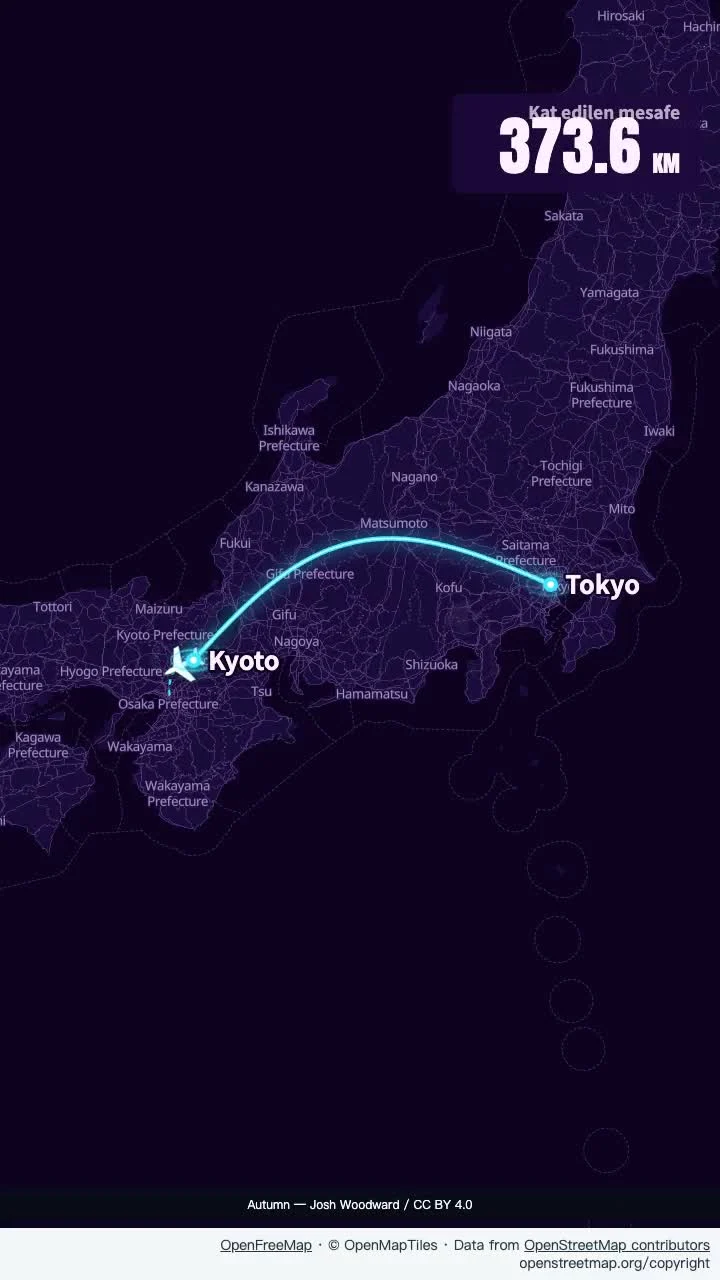 Hava karardıktan sonra Japonya: neon uçuşu
