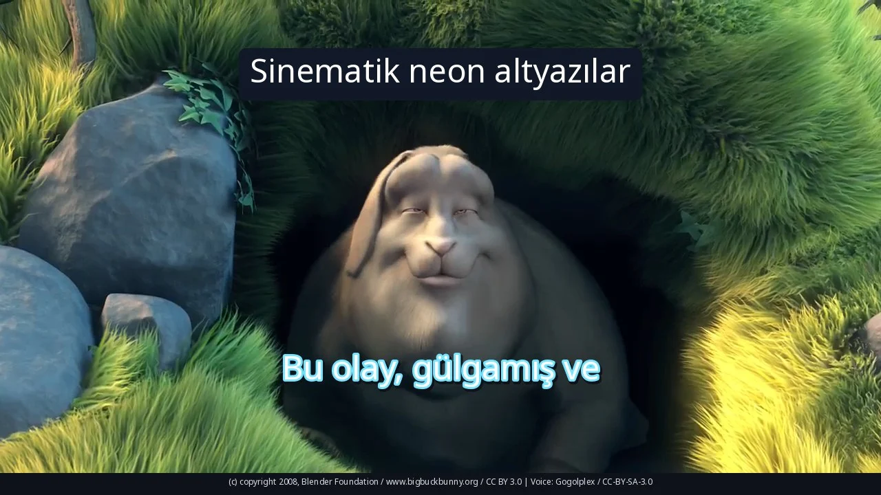 Sinematik neon altyazılar
