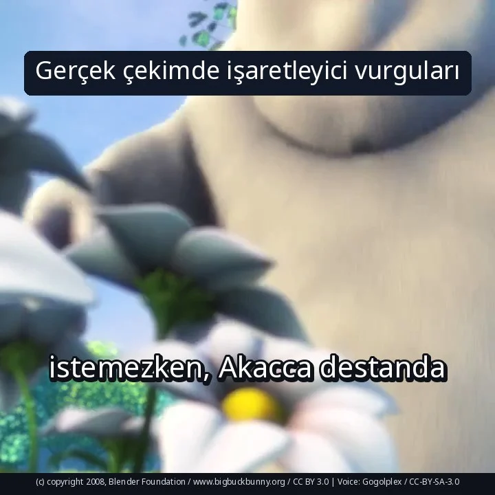 Gerçek çekimde işaretleyici vurguları