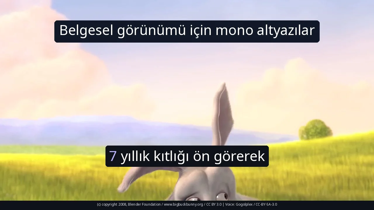Belgesel görünümü için mono altyazılar
