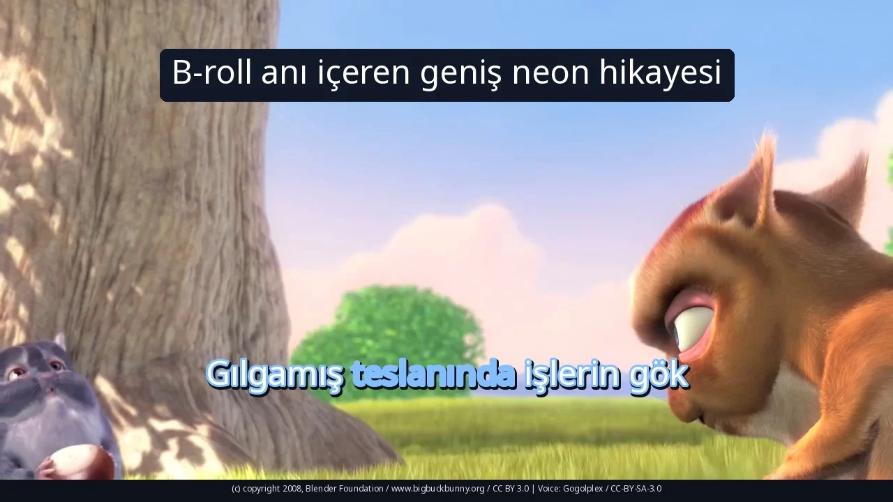 B-roll anı içeren geniş neon hikayesi