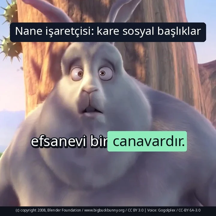 Nane işaretçisi: kare sosyal başlıklar