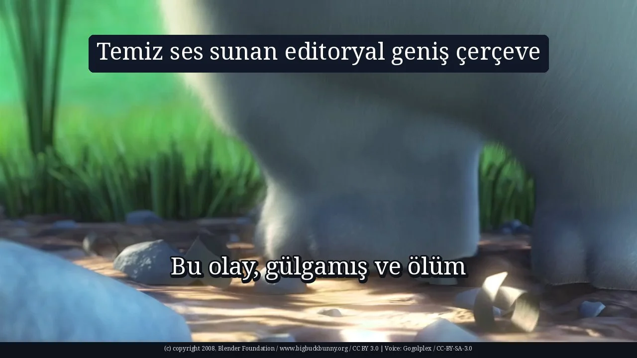 Temiz ses sunan editoryal geniş çerçeve