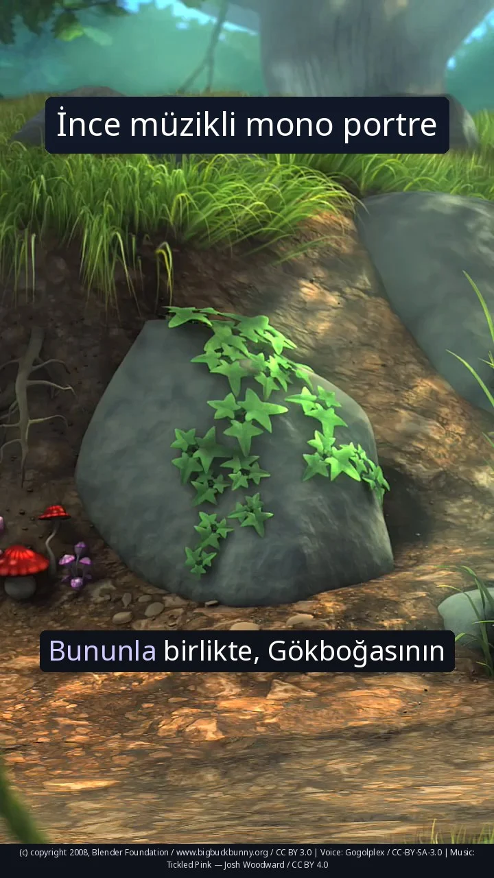 İnce müzikli mono portre