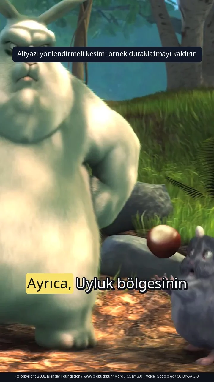 Altyazı yönlendirmeli kesim: örnek duraklatmayı kaldırın
