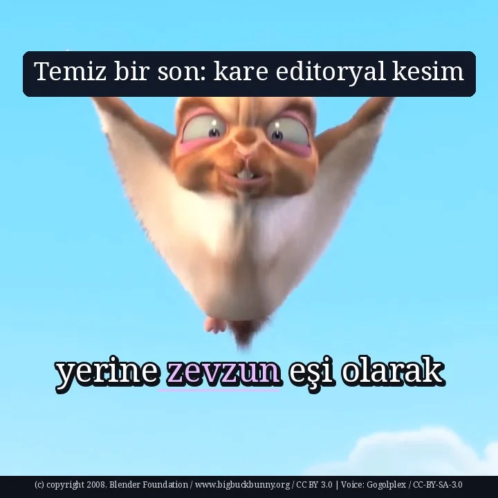 Temiz bir son: kare editoryal kesim