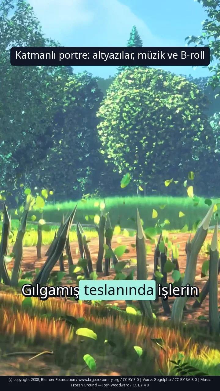 Katmanlı portre: altyazılar, müzik ve B-roll
