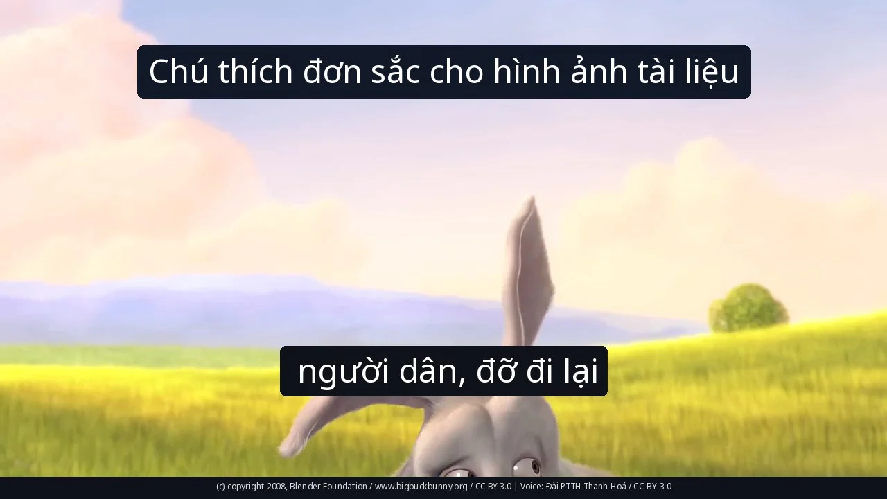 Chú thích đơn sắc cho hình ảnh tài liệu