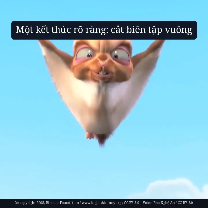 Một kết thúc rõ ràng: cắt biên tập vuông