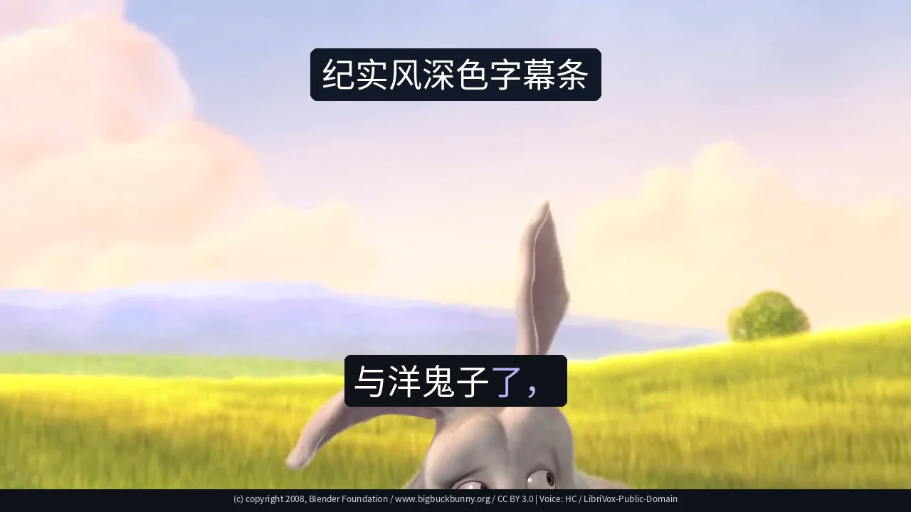 纪实风深色字幕条
