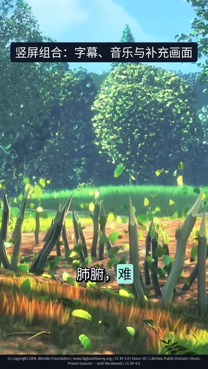 竖屏组合：字幕、音乐与补充画面