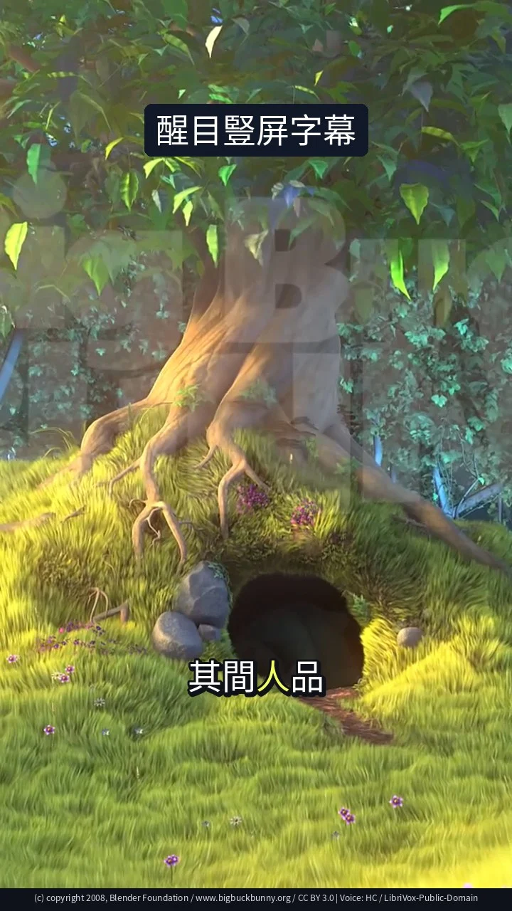 醒目豎屏字幕