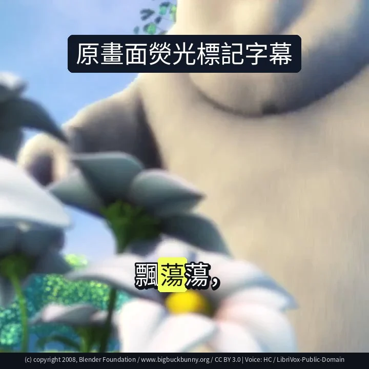 原畫面熒光標記字幕