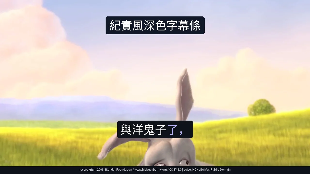 紀實風深色字幕條