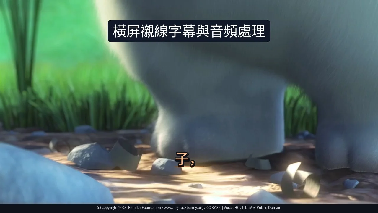 橫屏襯線字幕與音頻處理