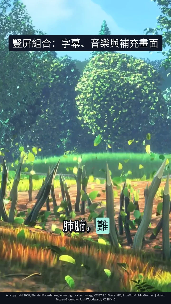 豎屏組合：字幕、音樂與補充畫面